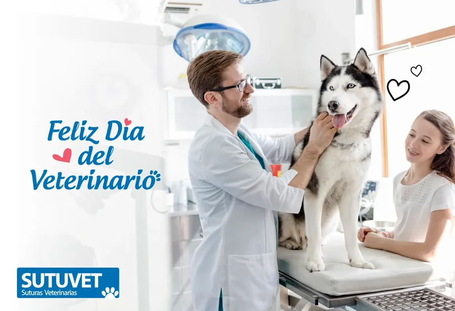 Pieza de saludo por el Día del Veterinario para Sutuvet